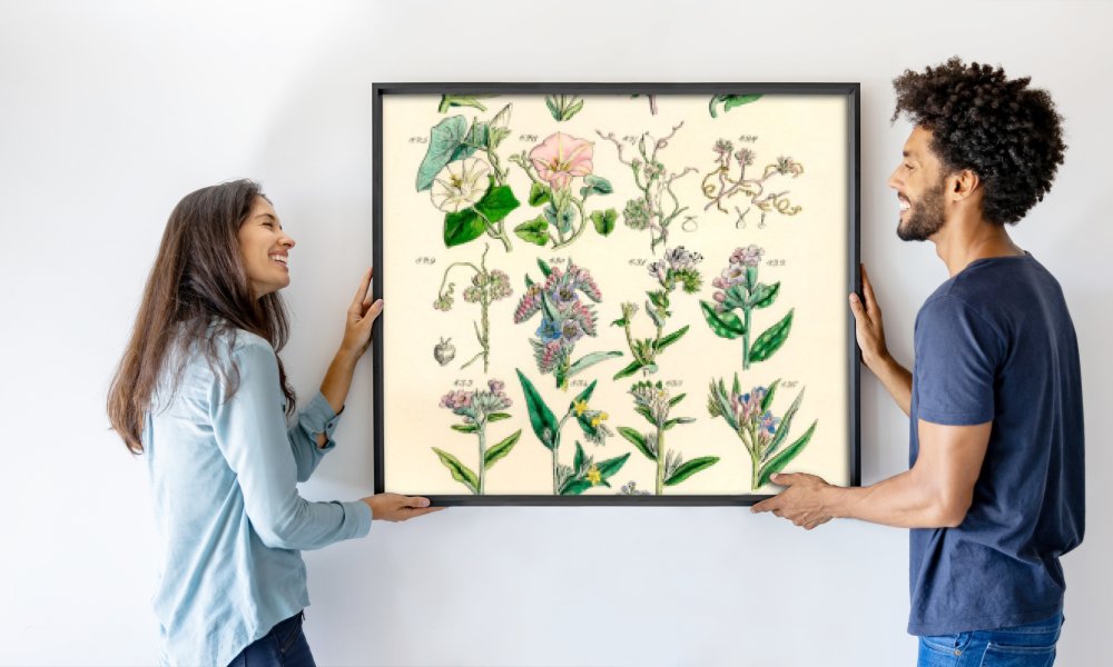 J. E. and Johnson C. P. Sowerby