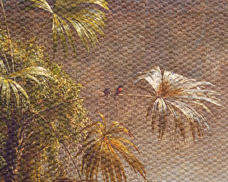 कैनवास साल्वाडोर (मैट) (कैनवास फ्लोरेंज़ो)  16