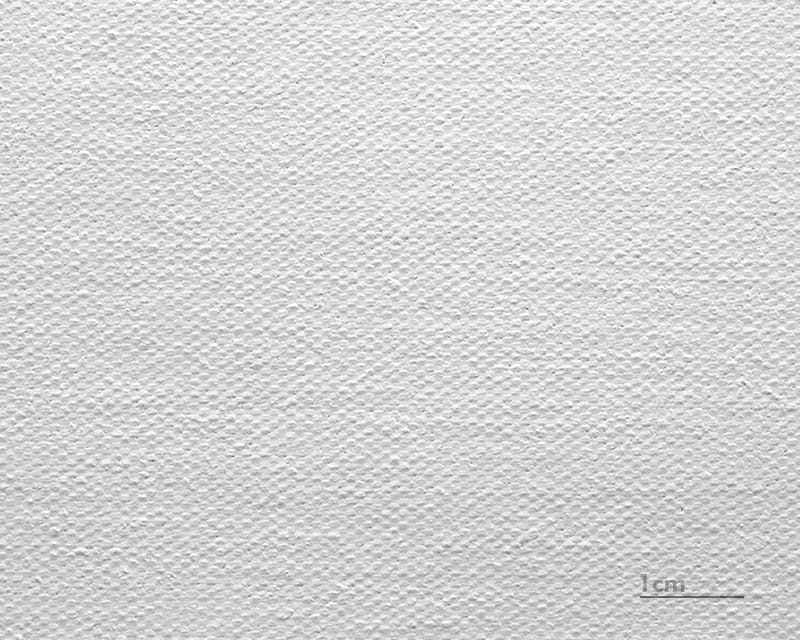 कैनवास लियोनार्डो (साटन) (कैनवास वेनेज़िया)  1
