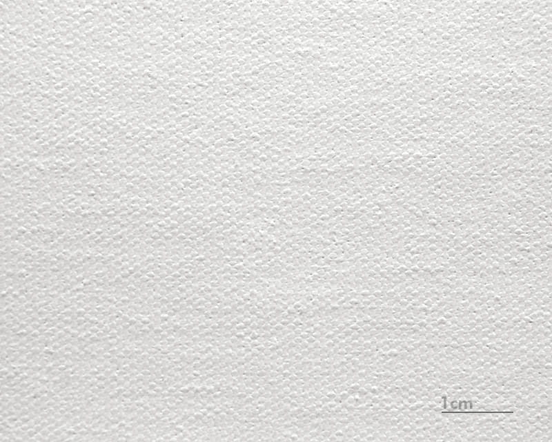 कैनवास राफेल (मैट) (Epson Premium Canvas Matte)  1