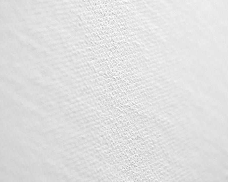कैनवास राफेल (मैट) (Epson Premium Canvas Matte)  0