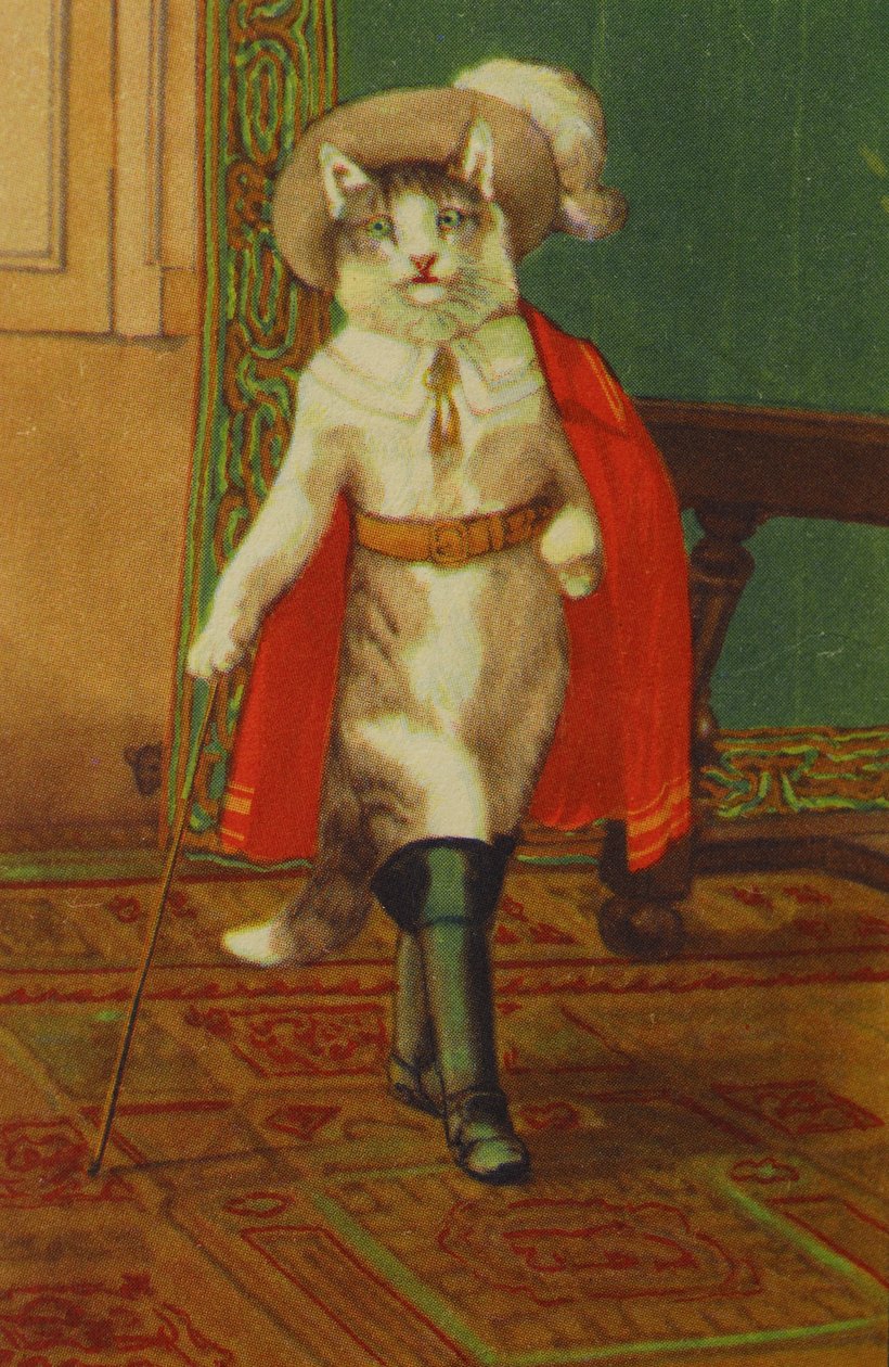 इलस्ट्रेशन The CatConte Boot by Perrault द्वारा अज्ञात