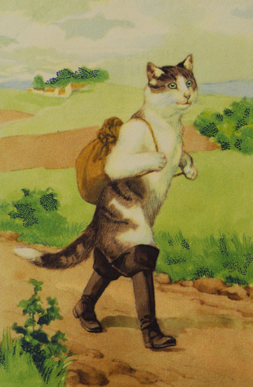इलस्ट्रेशन The CatConte Boot by Perrault द्वारा अज्ञात