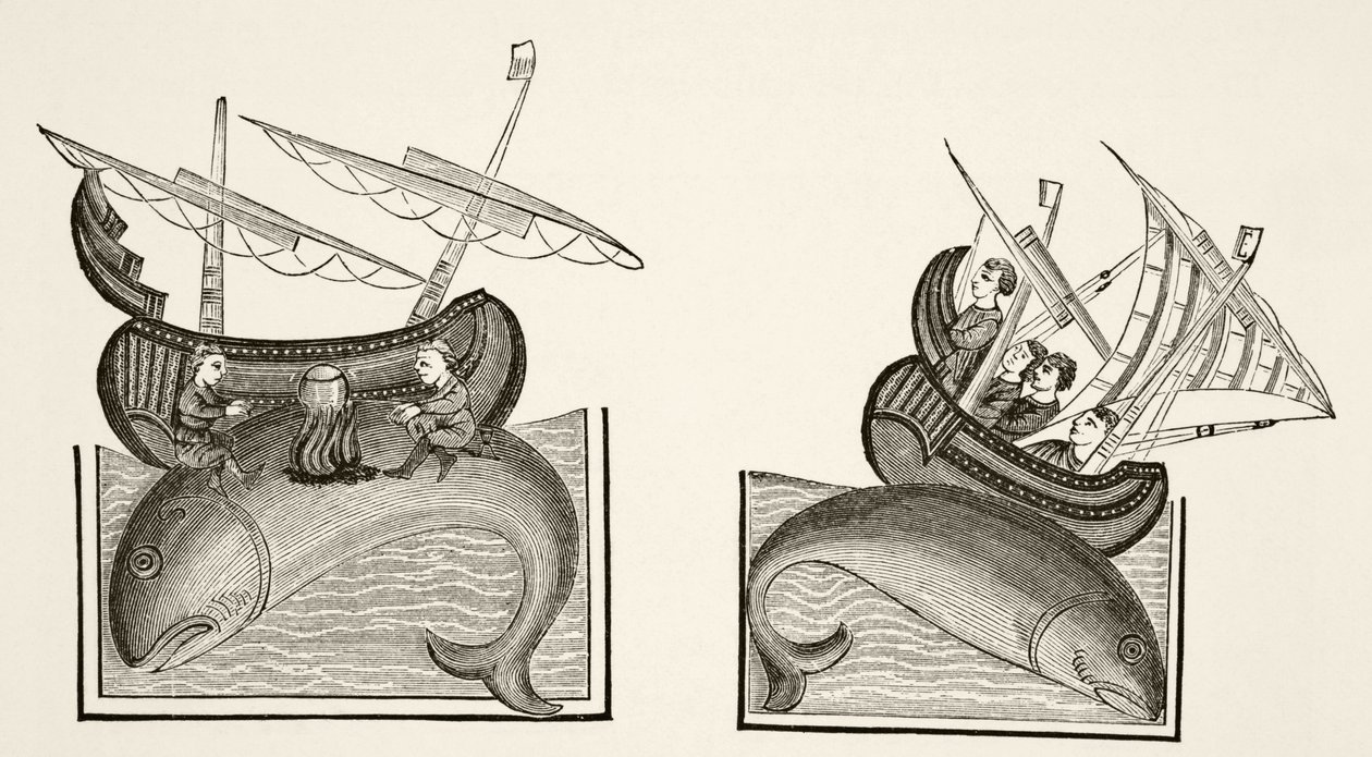 नाविकों ने एक द्वीप के लिए व्हेल की पीठ पर गलती की, रिचर्ड ले फोरनिवल के &39;बेस्टियरयर डीमोर&39; में एक लघु अवधि के बाद, पॉल लैक्रोइक्स द्वारा, 1878 में &39;साइंस एंड लिटरेचर इन द मिडल एजेस&39;। द्वारा अंग्रेजी स्कूल