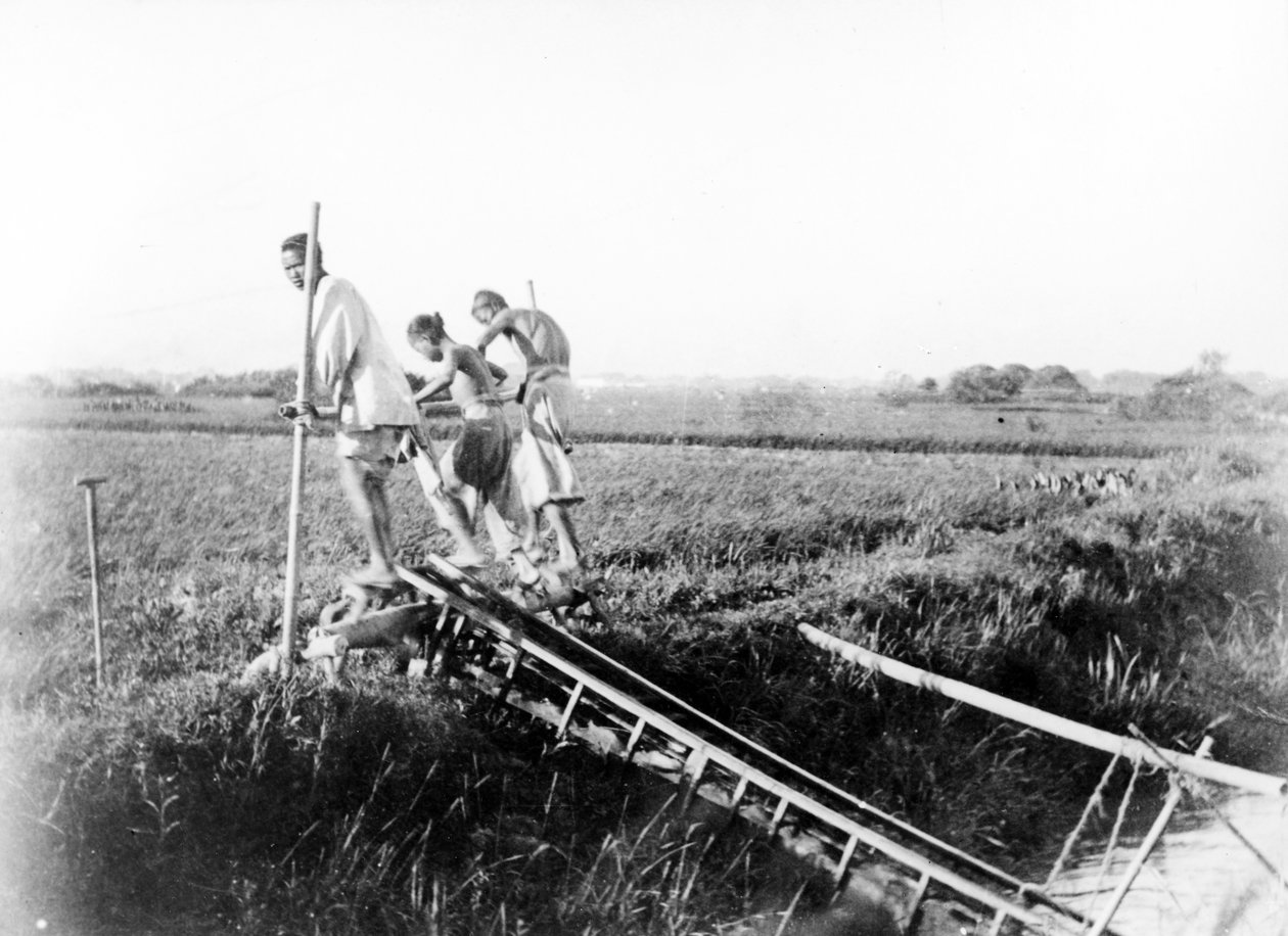 एक ड्रैगन-स्पाइन पंप, चीन, c.1870-80 द्वारा यूरोपीय फोटोग्राफर