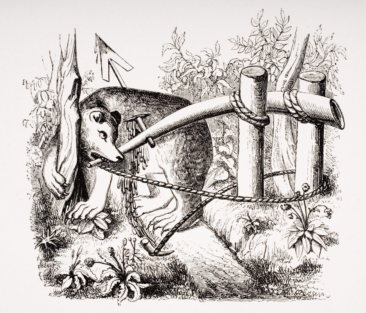 18 वीं शताब्दी में पॉल लेक्रोइक्स (1806-84) द्वारा &39;ले मोयन एज एट ला पुनर्जागरण&39; से 15 वीं शताब्दी की पांडुलिपि में एक लघु अवधि के बाद, डार्ट के साथ कैसे भालू और अन्य जानवरों को पकड़ा जा सकता है द्वारा फ्रेंच स्कूल