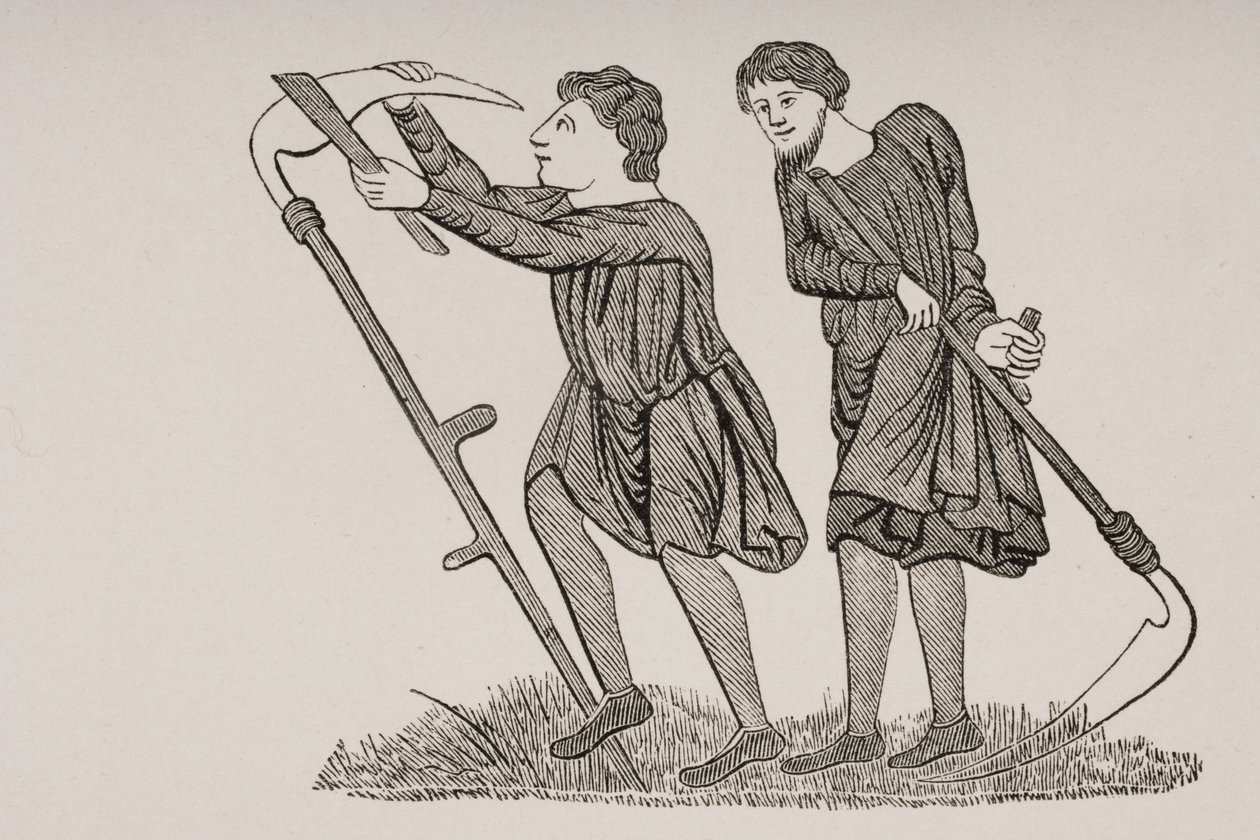 18 वीं सदी की पांडुलिपि में एक लघु अवधि के बाद, स्काइथ्स के साथ फील्ड्स में सीरफ लेबरिंग, पॉल लैक्रोइक्स (1806-84) द्वारा &39;ले मोयेन एज एट ला पुनर्जागरण&39; से प्रकाशित 1847 द्वारा फ्रेंच स्कूल