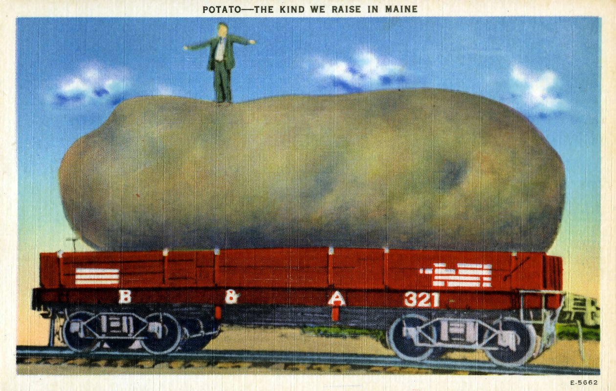 विंटेज अतिशयोक्ति पोस्टकार्ड c.1940 द्वारा अज्ञात