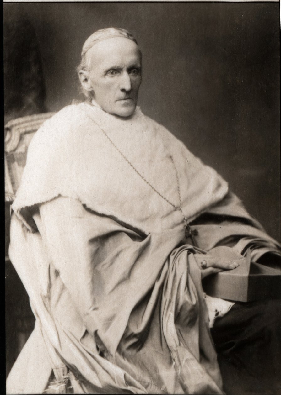 कार्डिनल हेनरी एडवर्ड मैनिंग का चित्र (1808-1892) द्वारा फ्रेंच फोटोग्राफर