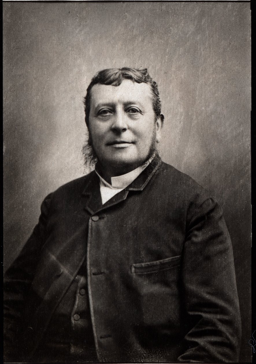 पोर्ट्रेट ऑफ चार्ल्स गेब्रियल एडगर डेमेंज (1841-1925), फ्रांसीसी वकील। द्वारा फ्रेंच फोटोग्राफर