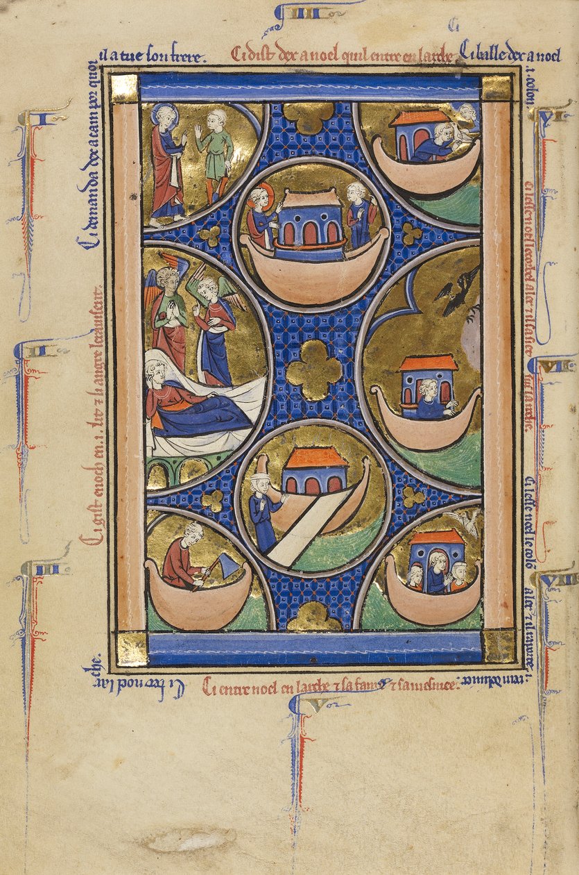 नूह के जीवन के दृश्य, c.1250-60 (ताप, सोना पत्ती और चर्मपत्र पर स्याही) द्वारा फ्रेंच स्कूल