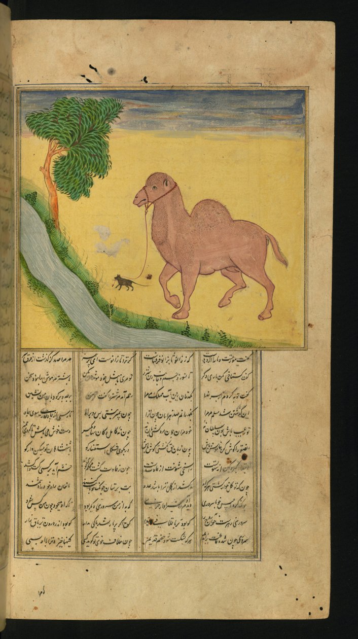 एक माउस, पानी की एक स्ट्रीम पर एक ऊंट की बागडोर बंद करना, A संग्रह से कविता का चित्रण, जलाल अल-दीन रूमी द्वारा, 1663 (कागज पर स्याही और वर्णक) द्वारा फारसी स्कूल
