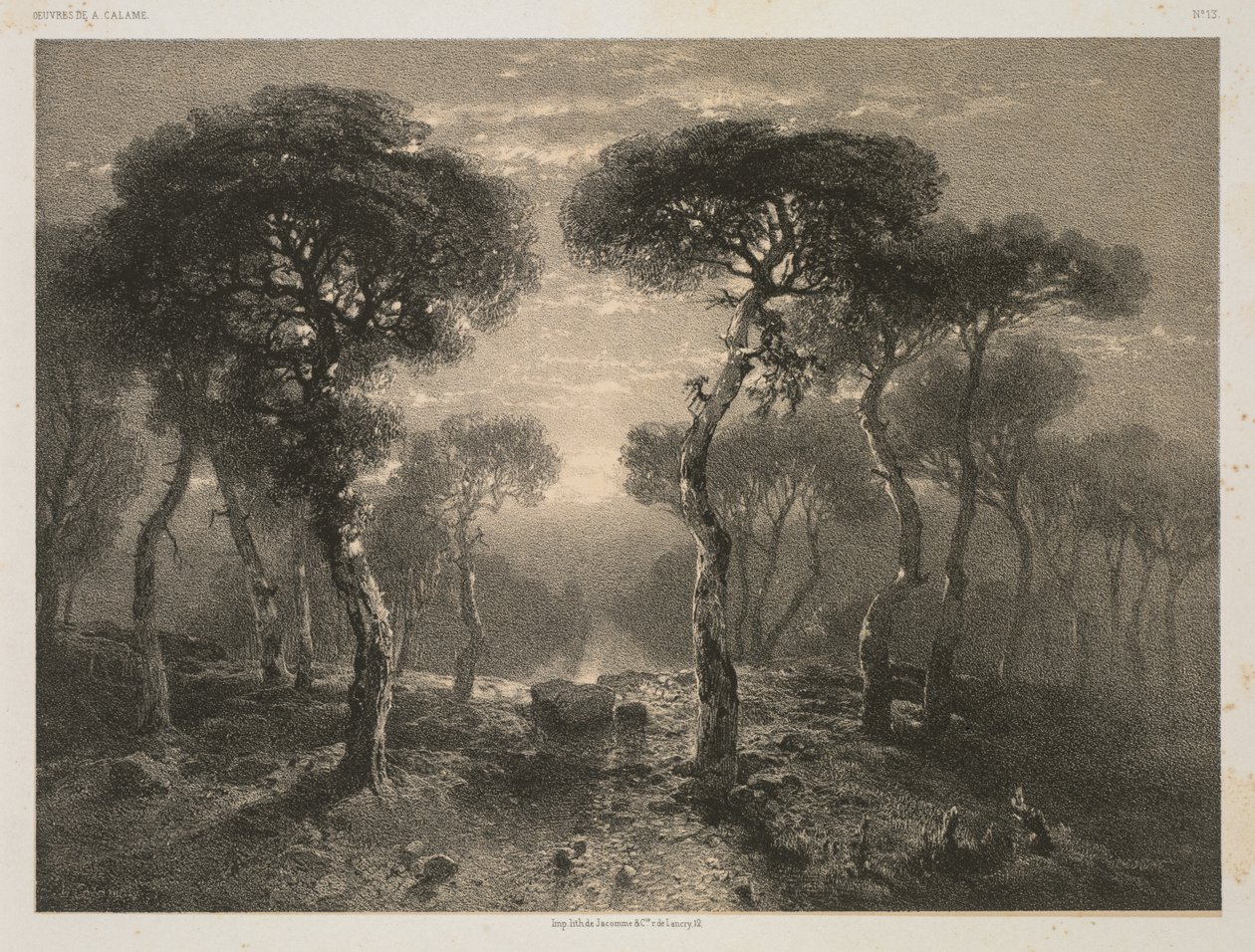 ए. कैलम द्वारा काम करता है, नंबर 13: वालिस में सीरे का जंगल, 1843 प्रकाशित 1851। द्वारा 12 जैकोम और सी। आर. डी लैंक्री पेरिस