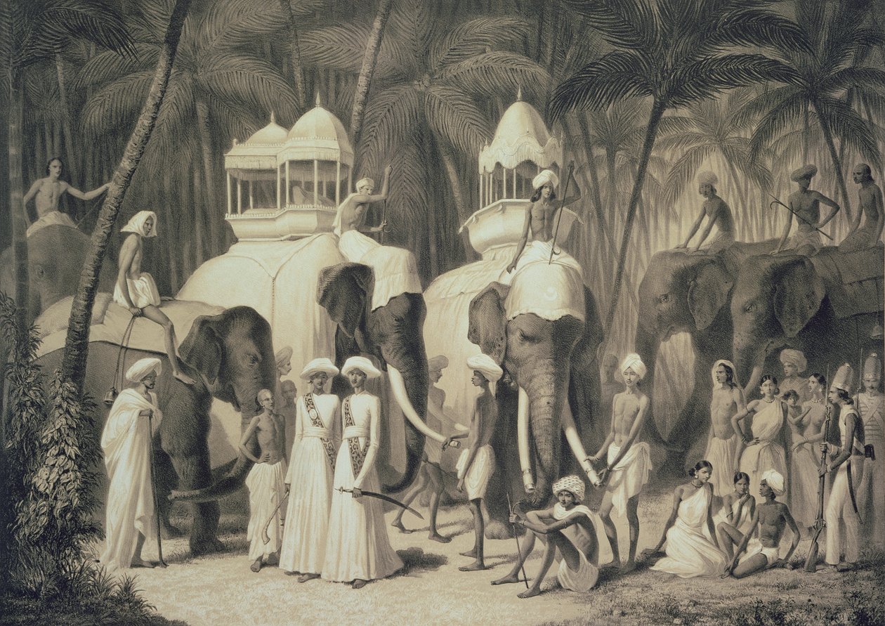 लुइस हेनरी डी रूडर (1807-81) द्वारा उत्कीर्ण &39;वॉयज इन इंडिया&39; से त्रावन्द्रम के राजा के हाथी द्वारा ए। सोल्टीकोफ