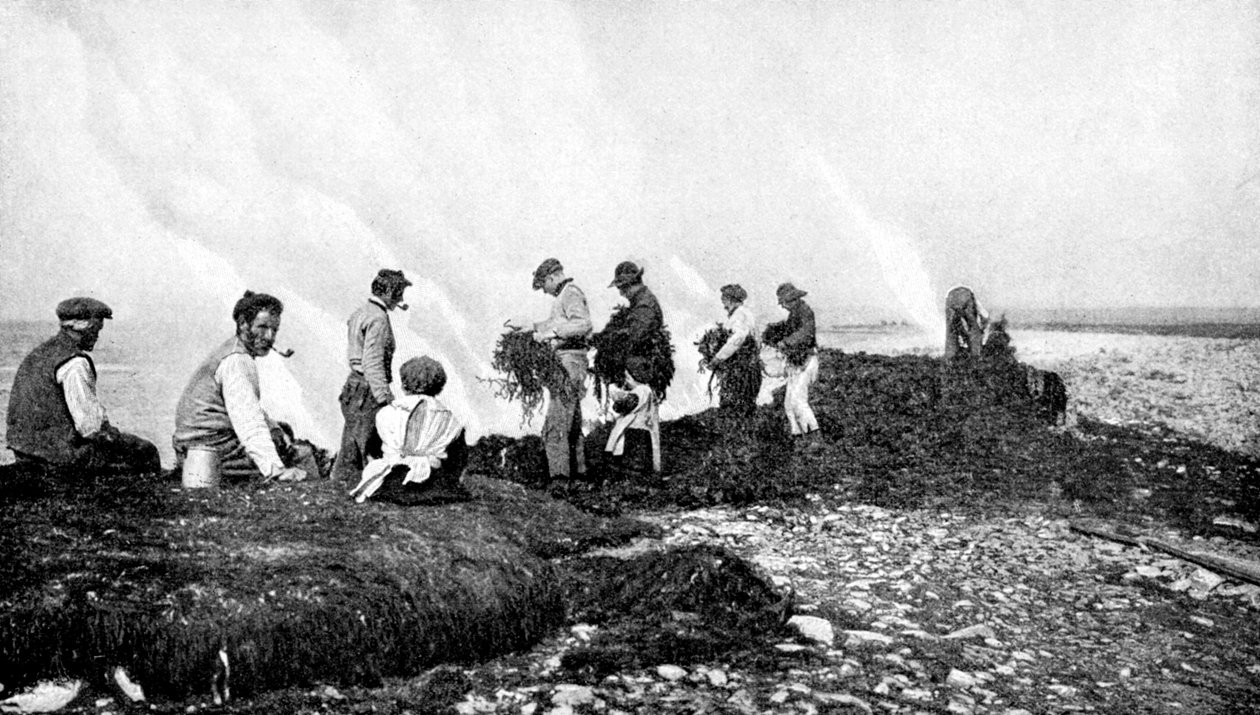 केल्प, अरन द्वीप, आयरलैंड, 1922 के लिए जलती हुई समुद्री शैवाल। द्वारा एडब्ल्यू कटलर