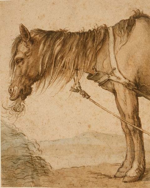 पीडी.159-1963 ए हॉर्स ईटिंग हेय, c.1600-10 (कलम और स्याही, धो) द्वारा अब्राहम ब्लोमैर्ट