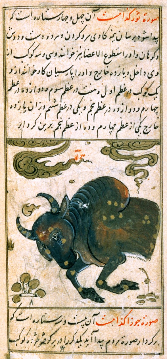 राशि चक्र के तारामंडल: वृषभ, बुल, तालीम दर मारीफ़त से मैं ताक़ुविम, 1498 (903 हिजड़ा) द्वारा अबू जाफ़र अल तबारी
