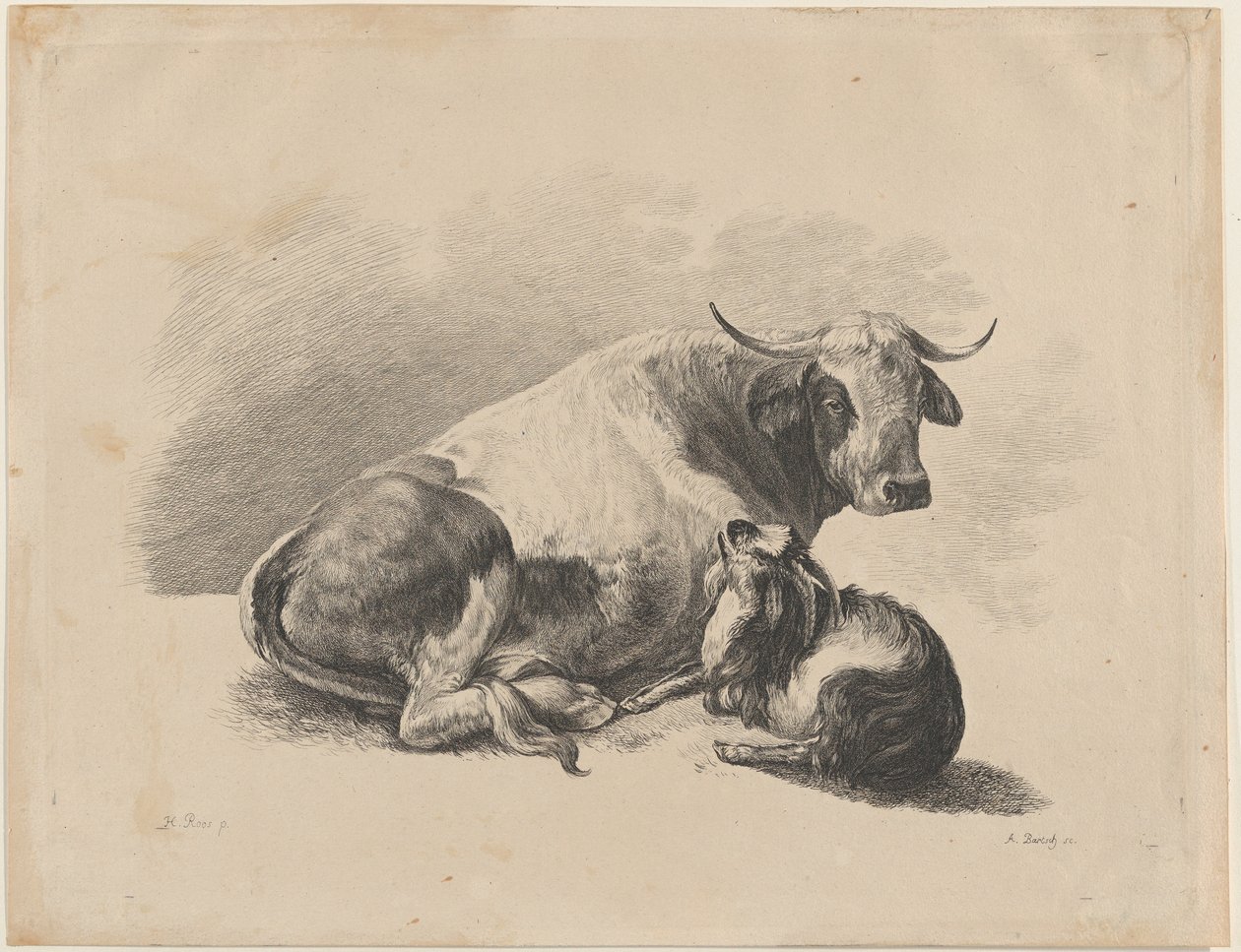 गाय और बकरी लेटी हुई, 1800-01। द्वारा एडम वॉन बार्टश