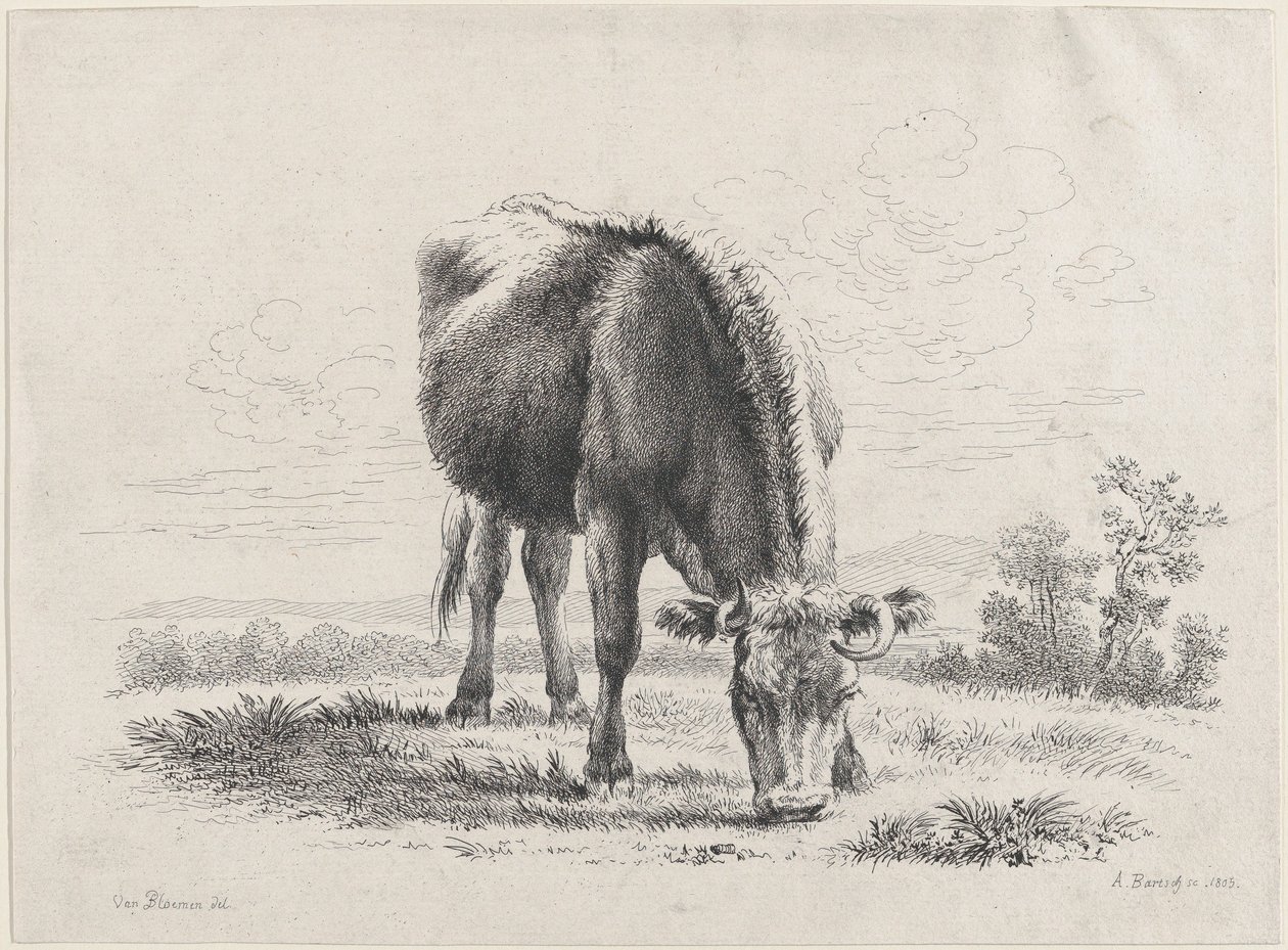 गाय चराना, 1805, 1805। द्वारा एडम वॉन बार्टश