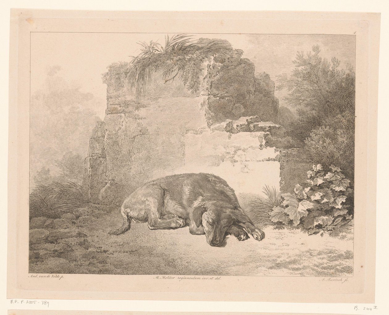  द्वारा एडम वॉन बार्टश
