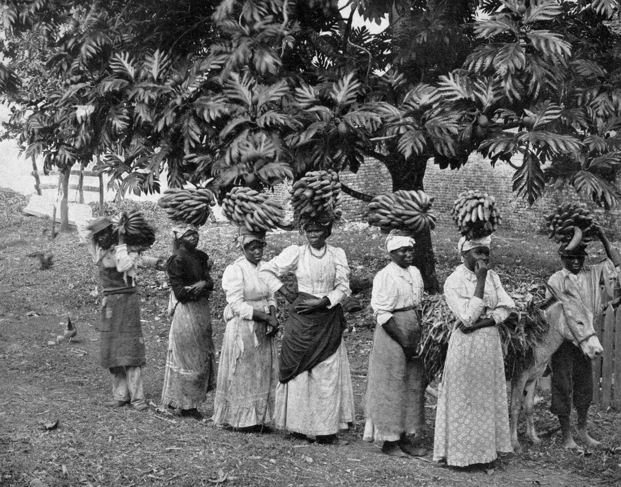 केले वाहक, जमैका, c1905 द्वारा एडोल्फ डुपरली और सोन