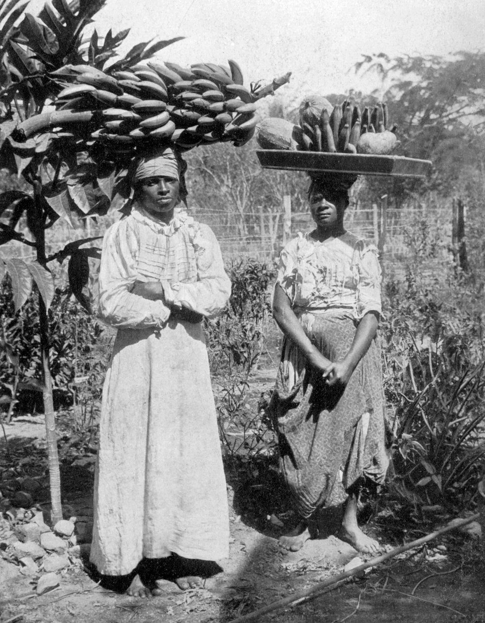 फल विक्रेता, जमैका, c1905 द्वारा एडोल्फ डुपरली और सोन