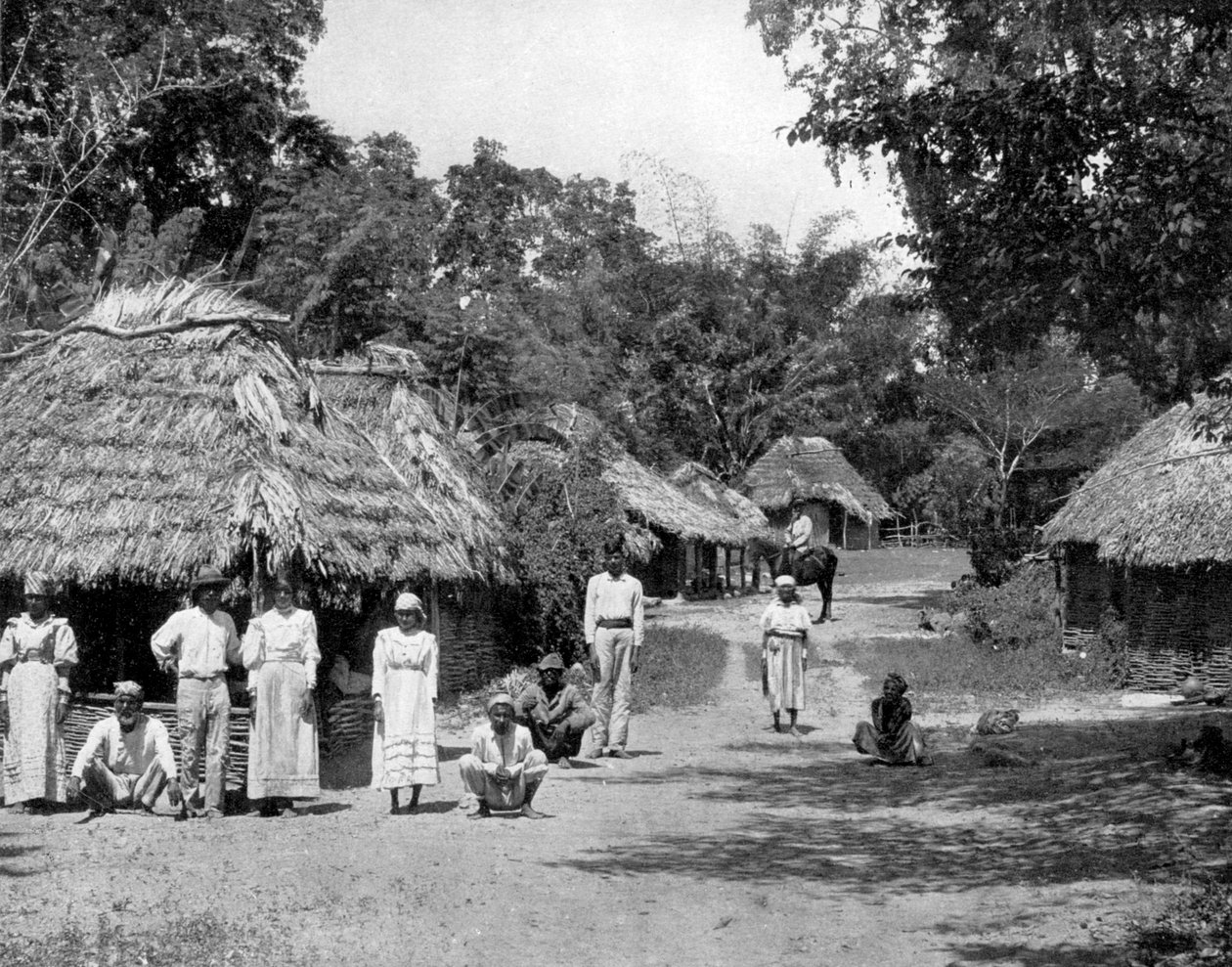 नेटिव हट्स, जमैका, c1905। द्वारा एडोल्फ डुपरली और सोन