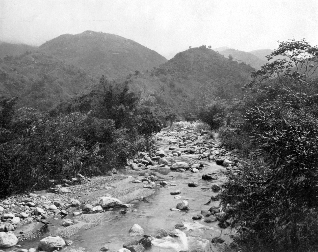 वैग-रिवर, कास्टलटन, जमैका, c1905। द्वारा एडोल्फ डुपरली और सोन