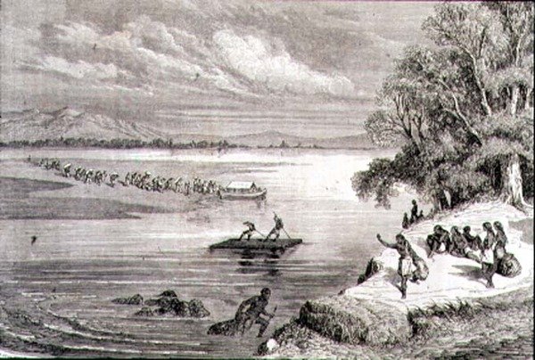 1860 के दशक में कोलोराडो नदी को पार करना (उत्कीर्णन) द्वारा आदोलपे गुसमान