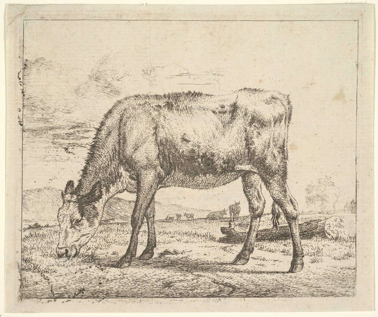 चराई बछड़ा, विभिन्न जानवरों से, 1658। द्वारा एड्रिएन वैन डे वेलडे