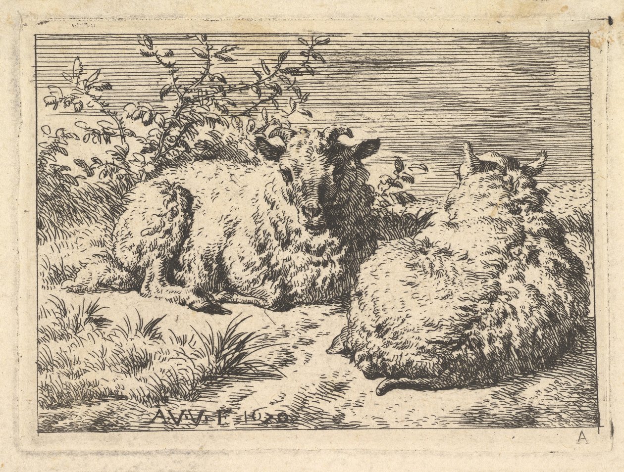 दो लेटा हुआ भेड़, 1670। द्वारा एड्रिएन वैन डे वेलडे
