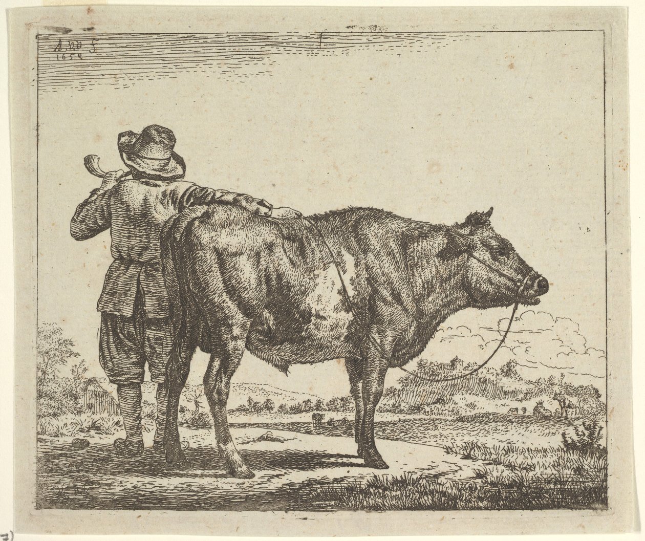एक बैल के साथ युवा चरवाहा, विभिन्न जानवरों से, 1659। द्वारा एड्रिएन वैन डे वेलडे