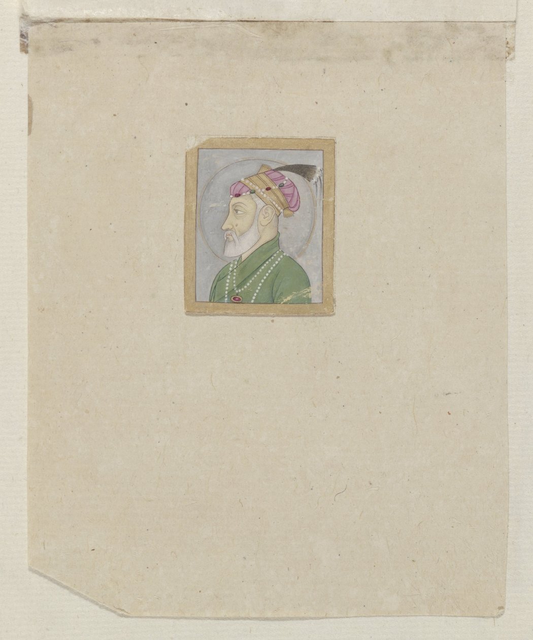 होमियोजोएन द्वारा एड्रियानस कैंटर विचर