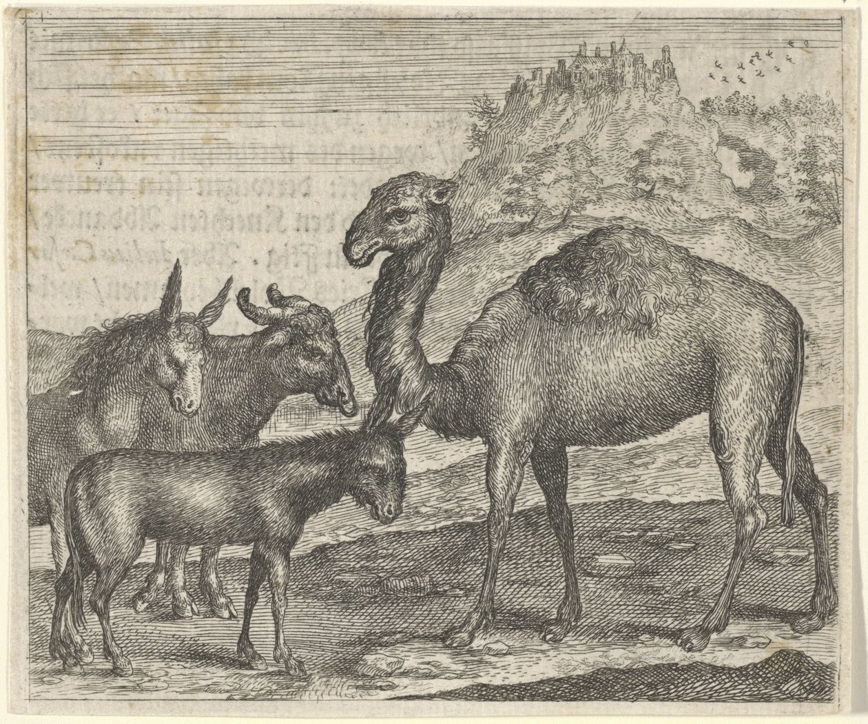  द्वारा एगिडियस सैडेलर (द्वितीय)