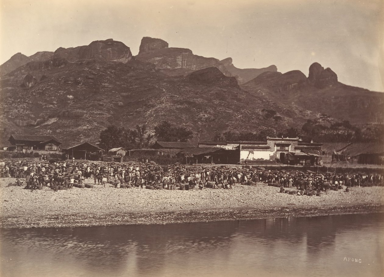 डक मार्केट, सीए। 1869. द्वारा अफोंग लाइ