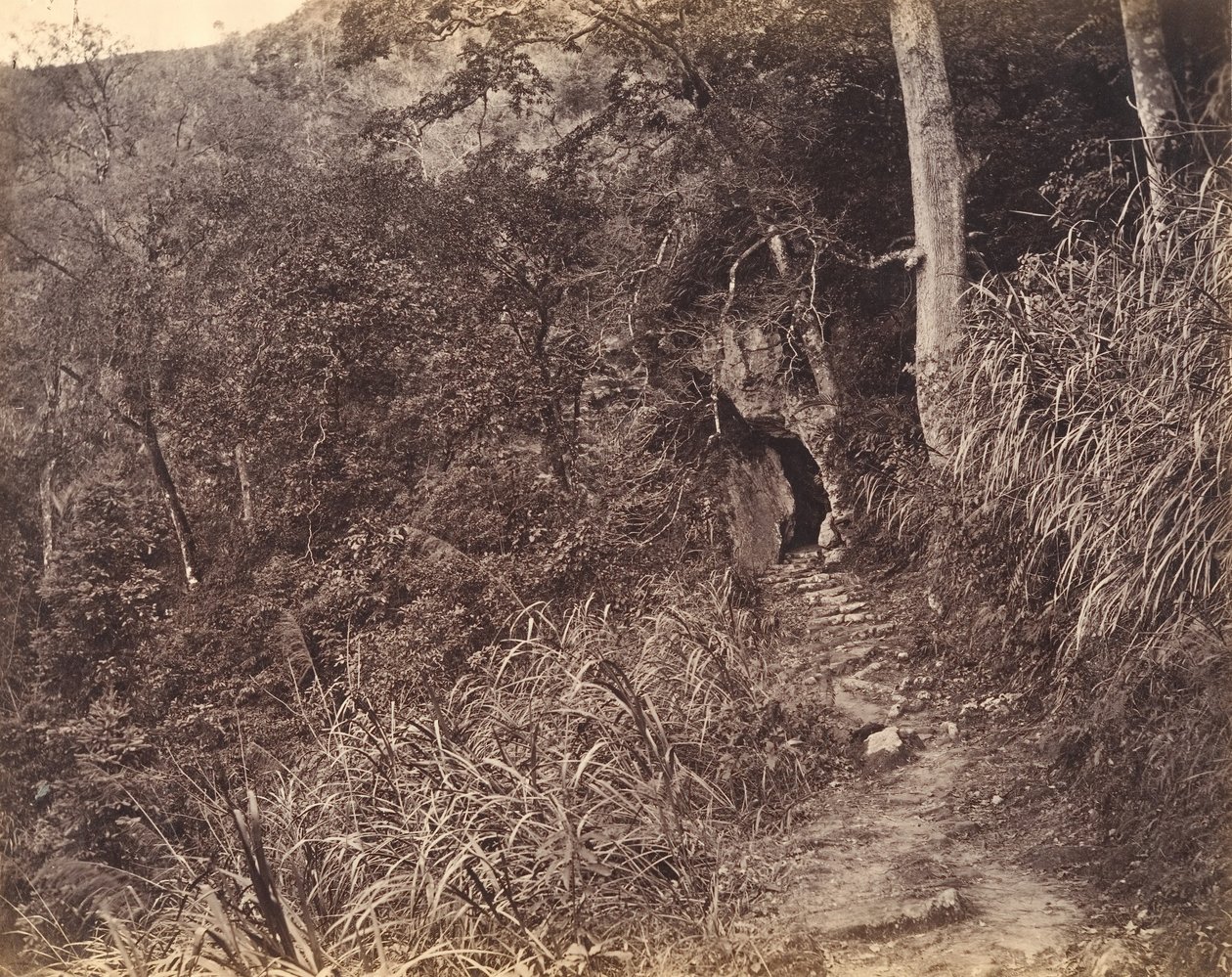 यूएन फू मठ तक लेफ्ट रोड, सीए। 1869. द्वारा अफोंग लाइ