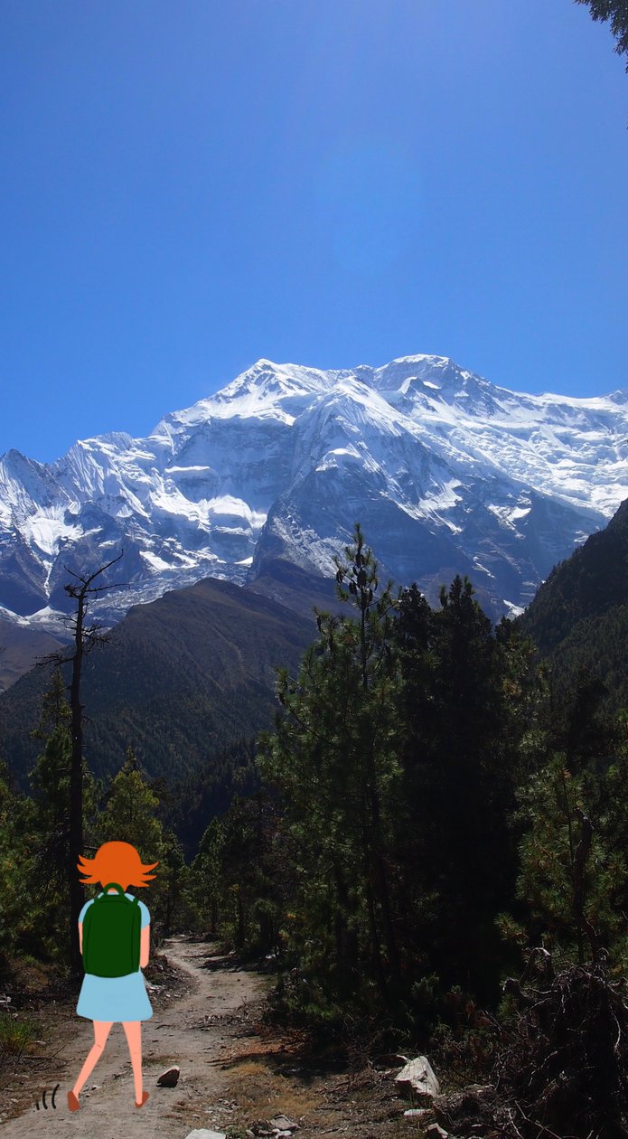 द्वारा एग्नेस गिरार्डन