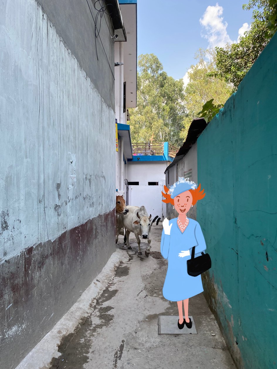  द्वारा एग्नेस गिरार्डन