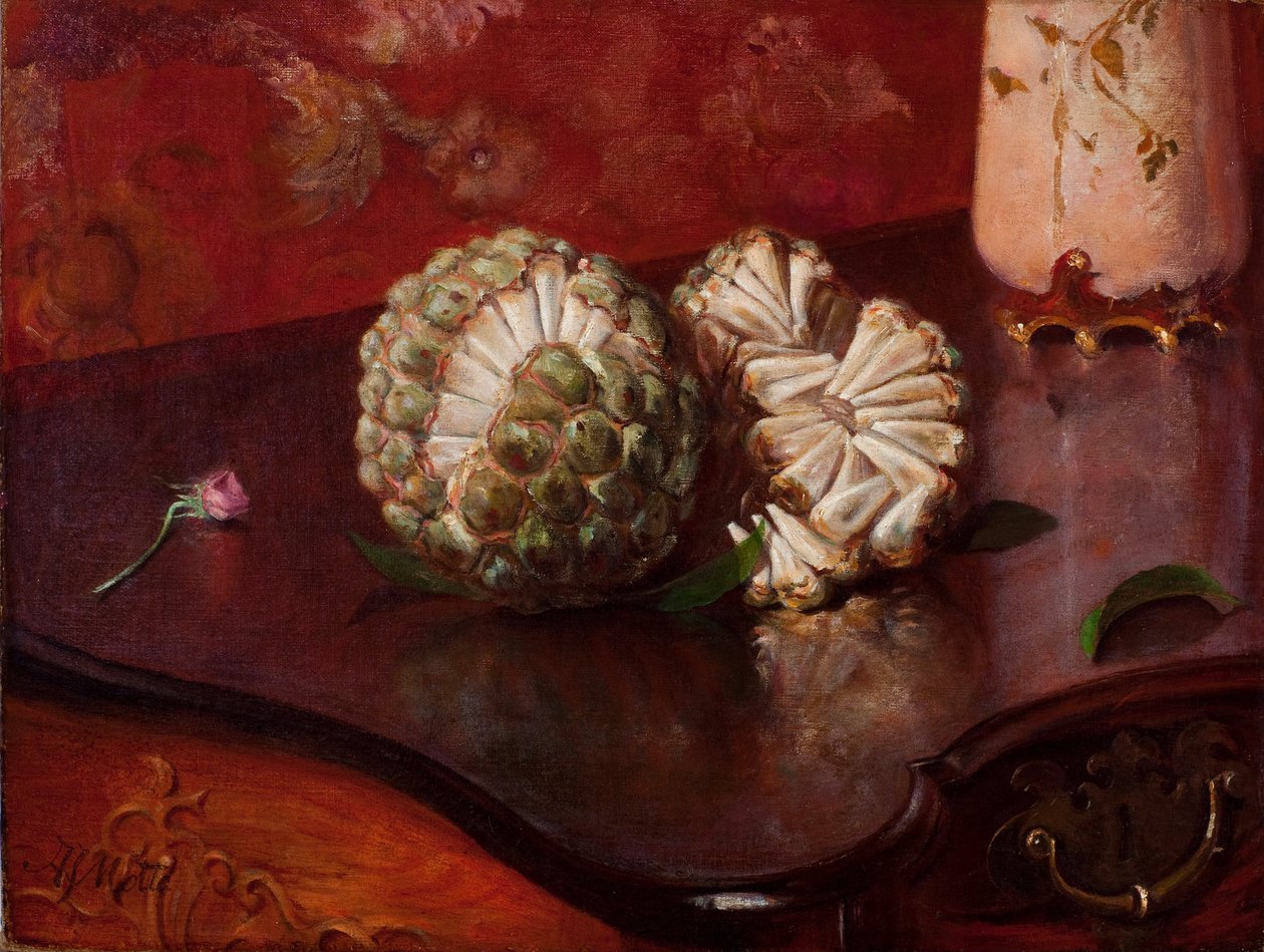 Sweetsop द्वारा अगोस्तिन्होदा मोट्टा