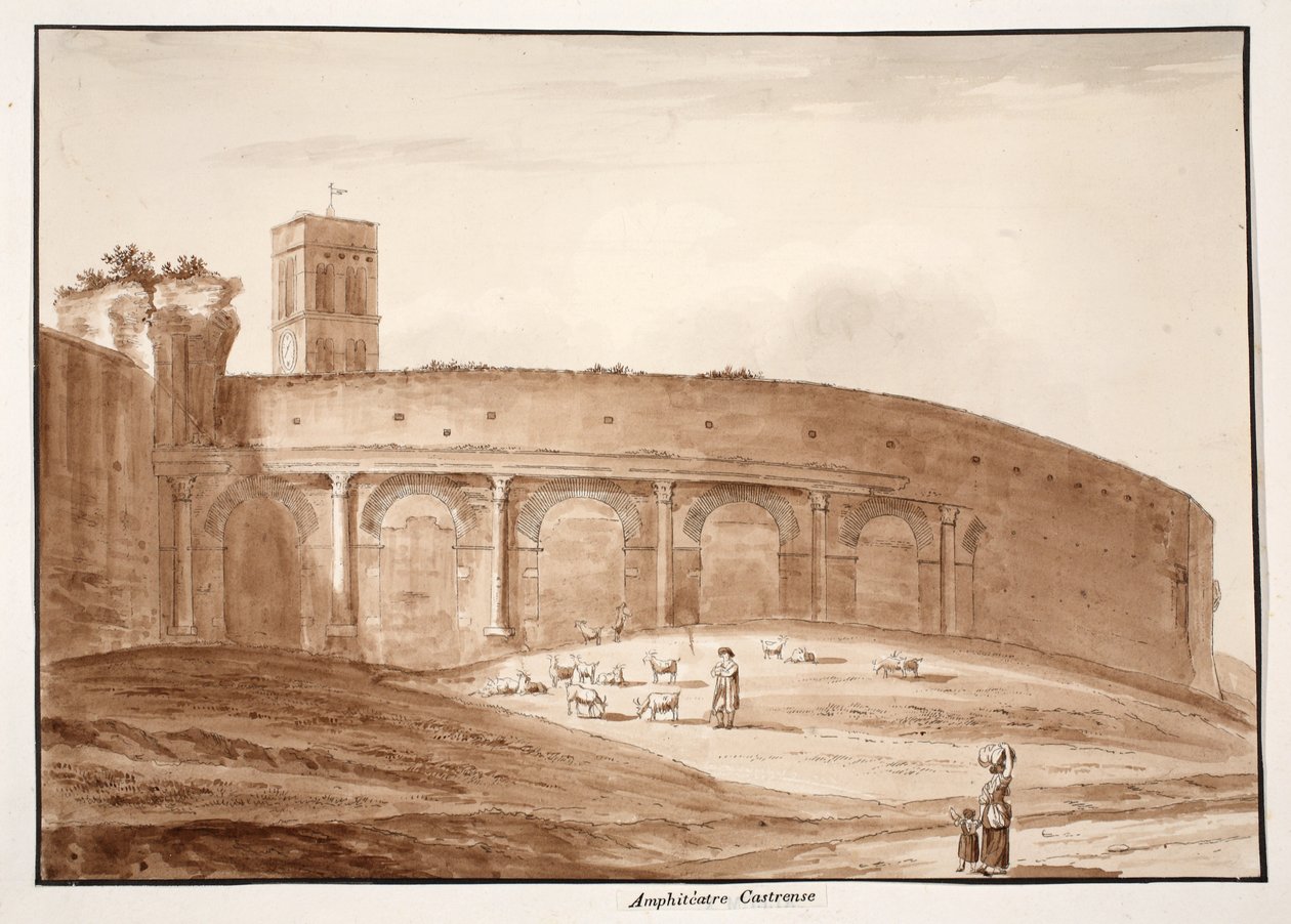 एम्फीट्रीट्रम कास्त्रेंस, 1833 (ब्राउन वॉश के साथ नक़्क़ाशी) द्वारा एगोस्टिनो टोफ़ानेलि