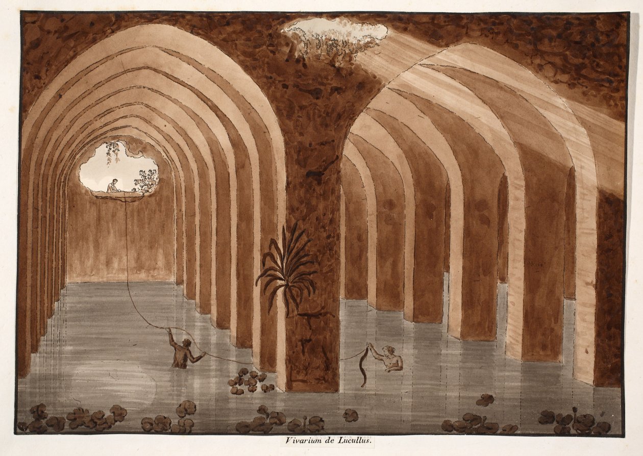 लुकुलस, 1833 का विवरियम (ब्राउन वॉश के साथ) द्वारा एगोस्टिनो टोफ़ानेलि