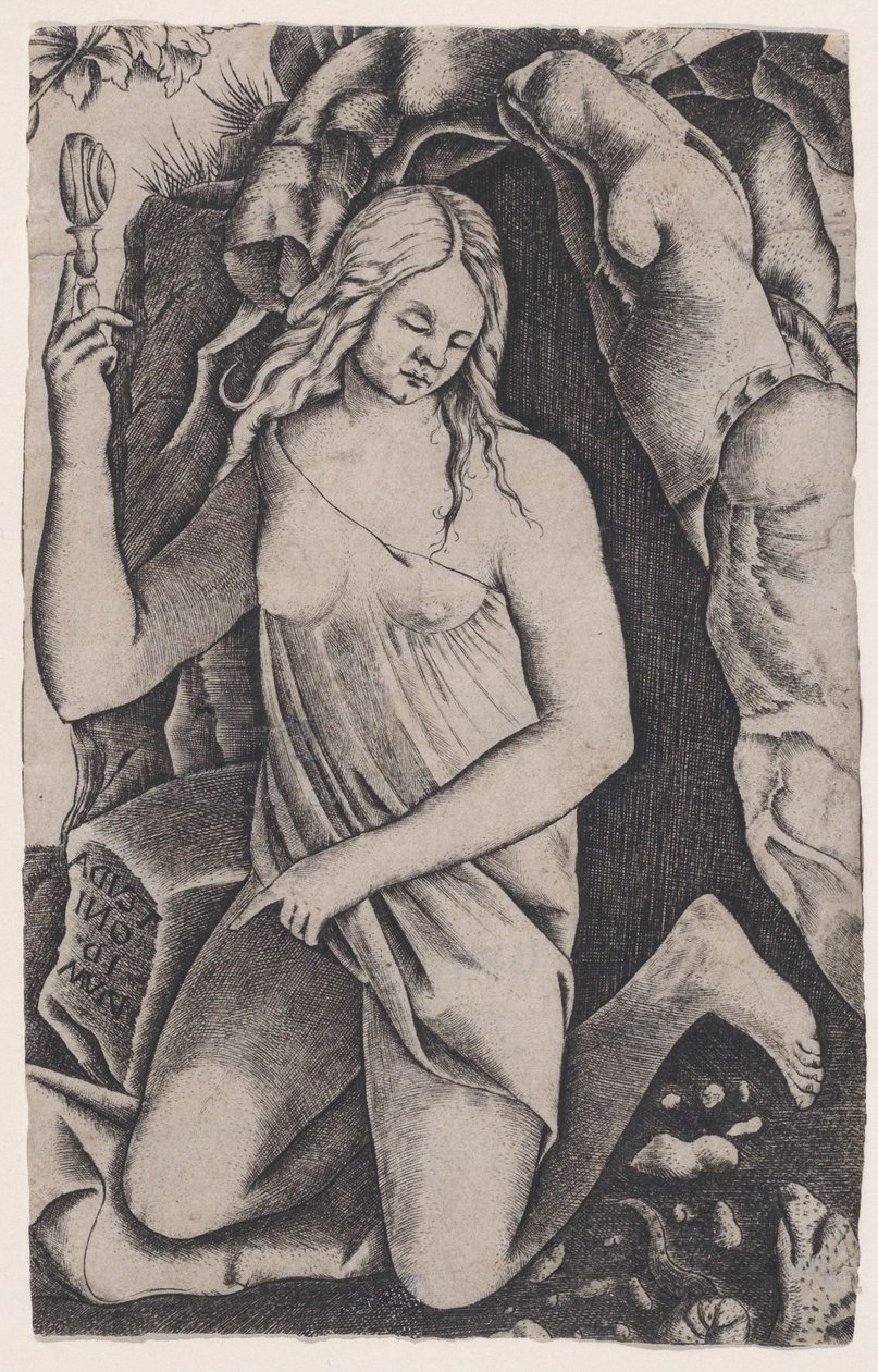 Saint Margaret, ca. 1514-36.  द्वारा एगोस्टिनो वेनेज़ियानो