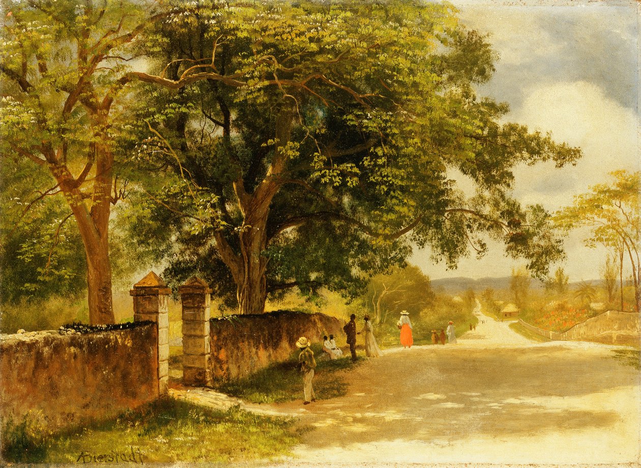 नासाउ में स्ट्रीट, c.1878 द्वारा अल्बर्ट बिएरस्टाड