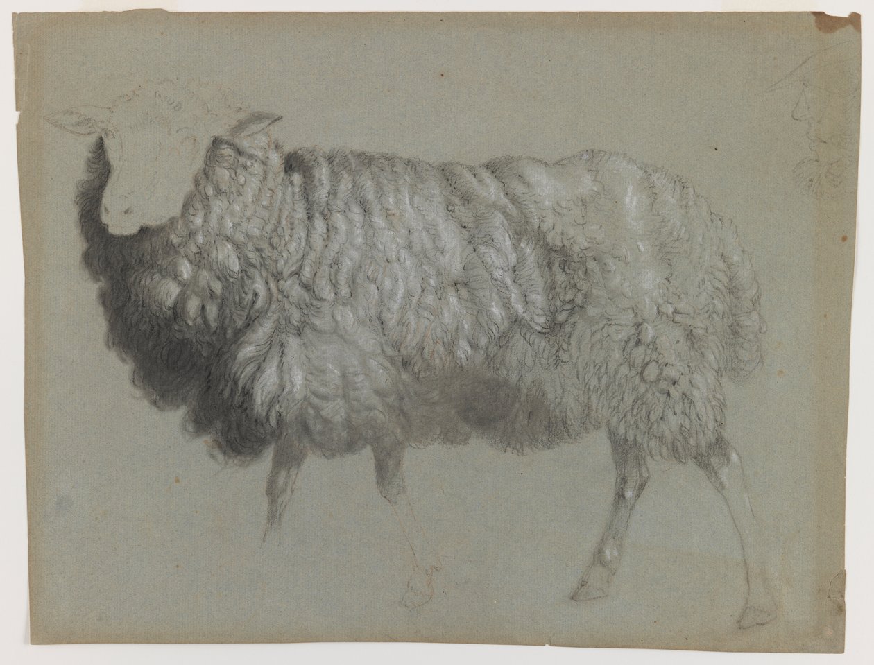एक ईवे का अध्ययन, c.1855 (ग्रे-ग्रीन पेपर पर ग्रेफाइट, क्रेयॉन और चाक) द्वारा अल्बर्ट बिएरस्टाड