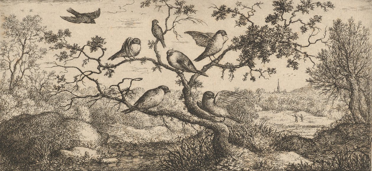 फिसेदुला, पियुयने द बुलफिंच: लिवरे डी'ऑयसेक्स बुक ऑफ बर्ड्स, 1655-1660।, द्वारा अल्बर्ट फ्लेमिश