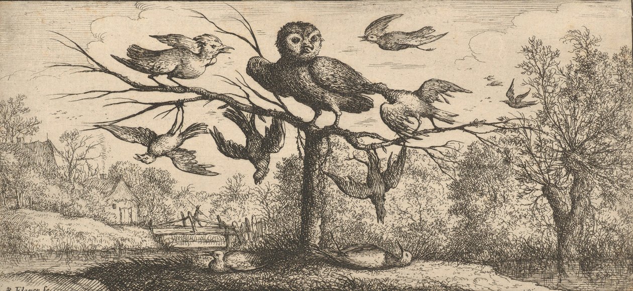 मोनेदुला, चौएट द आउल: लिवर डी'ऑयसेक्स बुक ऑफ बर्ड्स, 1655-1660। द्वारा अल्बर्ट फ्लेमिश