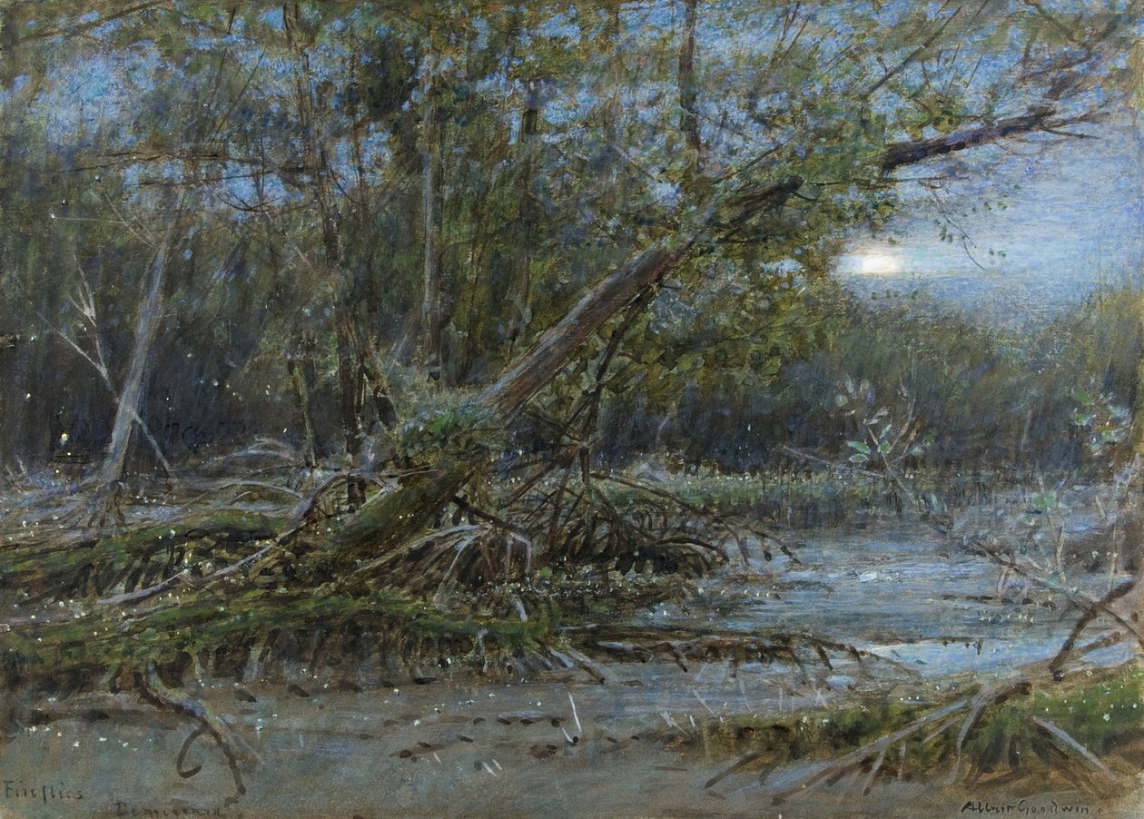 फायरफ्लाइज़, डेमेरा, c.1902 (w - c और बॉडी कलर पेपर पर) द्वारा अल्बर्ट गुडविन