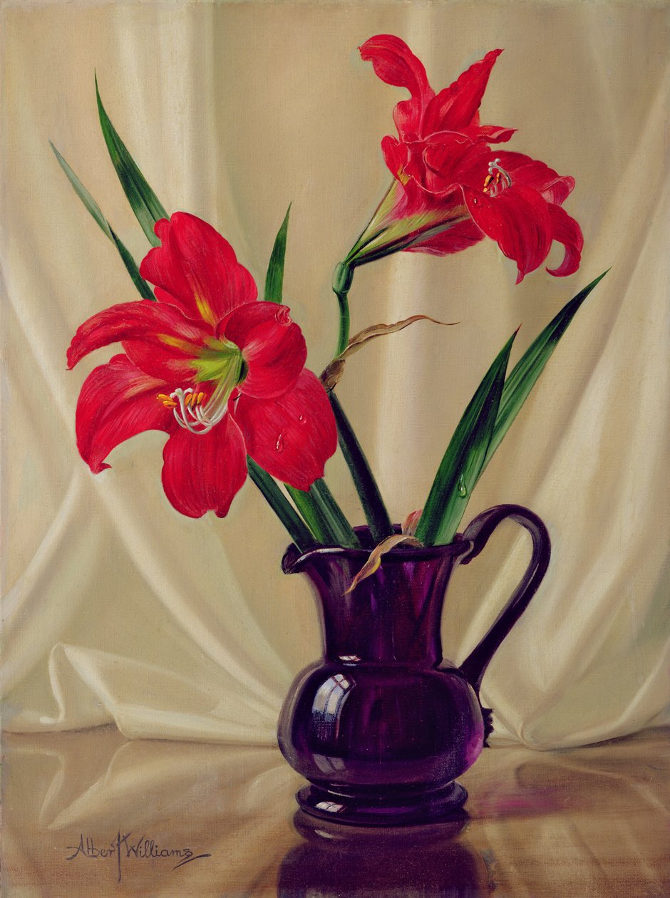 Amaryllis Lillies, एक डार्क ग्लास जग में द्वारा अल्बर्ट विलियम्स