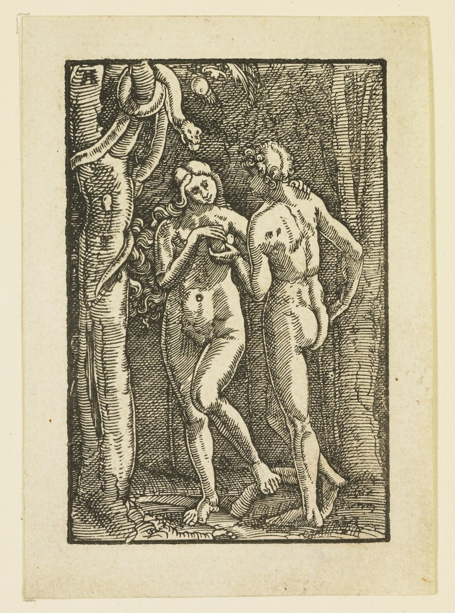 आदम और हव्वा खाने से मना किया फल, c.1513 द्वारा अल्ब्रेक्ट अल्टरडोरर