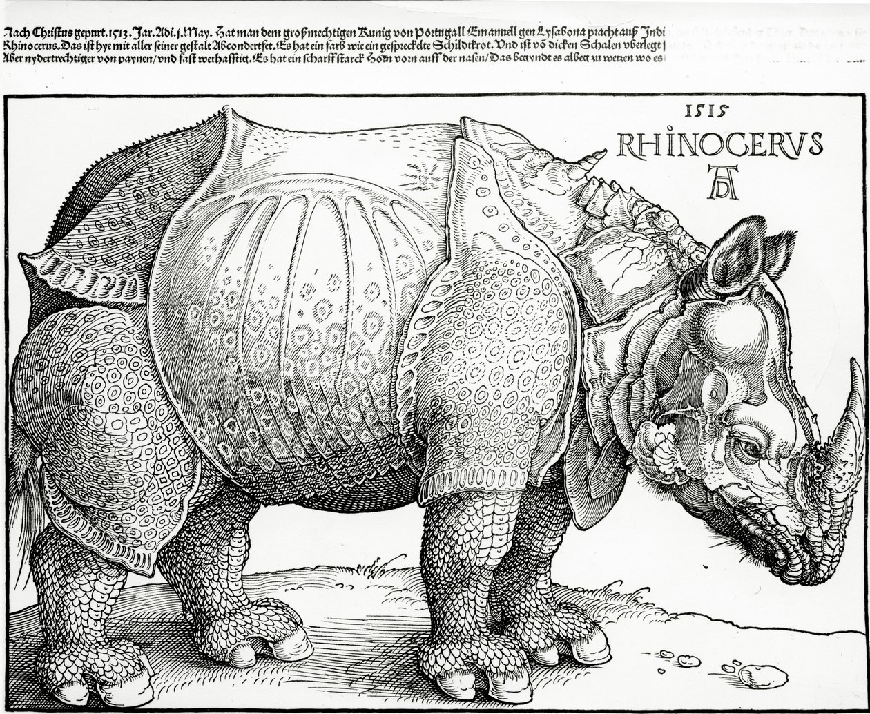 गैंडा, 1515 द्वारा अल्ब्रेक्ट ड्यूरर